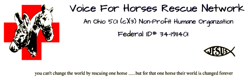 Voice For Horses Rescue Network